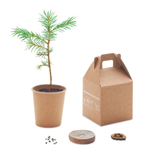 Grantræssæt - Bild 3